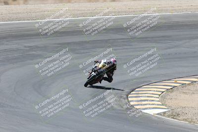 media/Apr-20-2025-CVMA (Sun) [[39090e8767]]/Race 11-500-350 Supersport (Holeshot)/